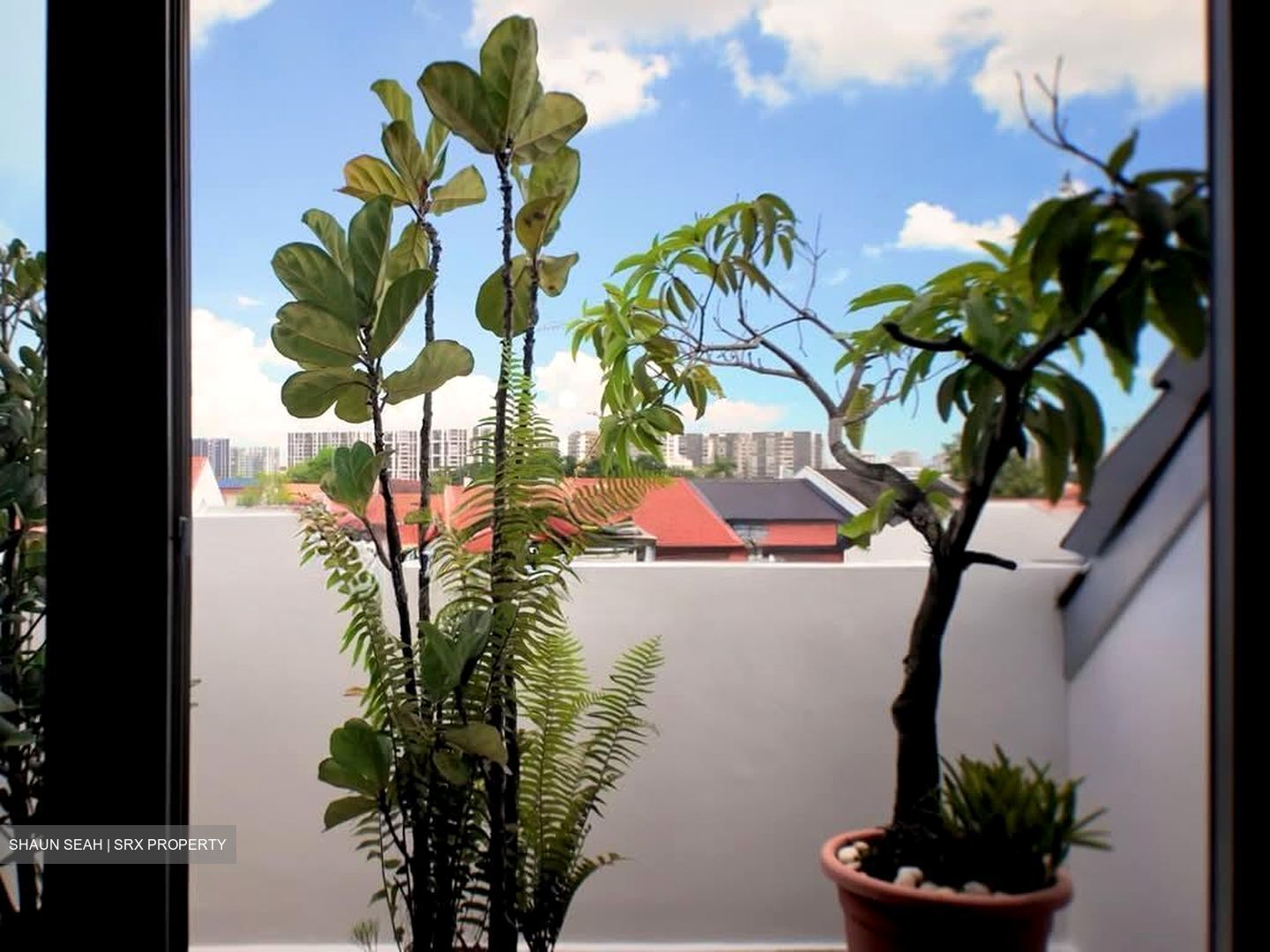 Tai Keng Garden (D19), Terrace #574003731